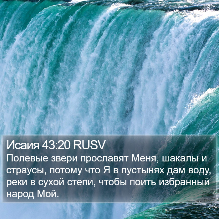 Исаия 43:20 RUSV Bible Study