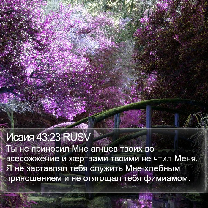Исаия 43:23 RUSV Bible Study