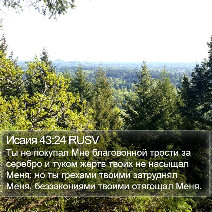 Исаия 43:24 RUSV Bible Study
