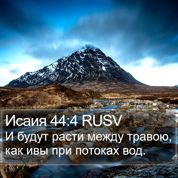 Исаия 44:4 RUSV Bible Study