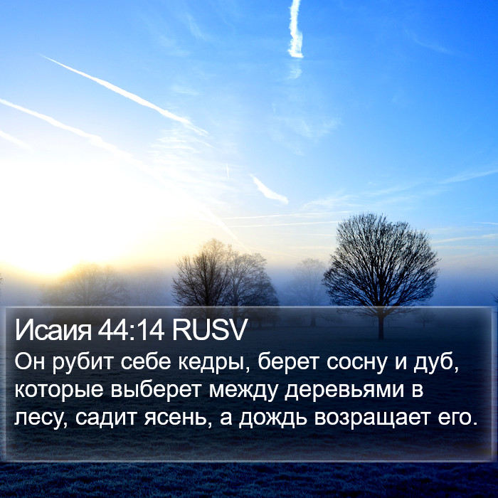 Исаия 44:14 RUSV Bible Study