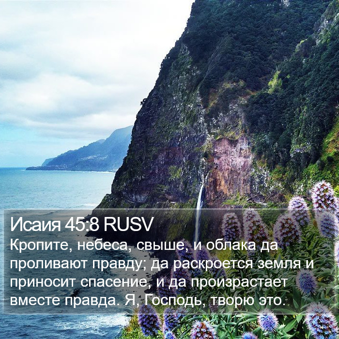 Исаия 45:8 RUSV Bible Study