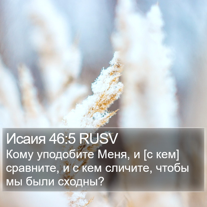 Исаия 46:5 RUSV Bible Study