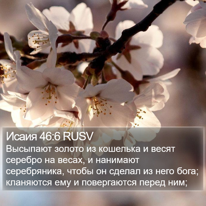 Исаия 46:6 RUSV Bible Study