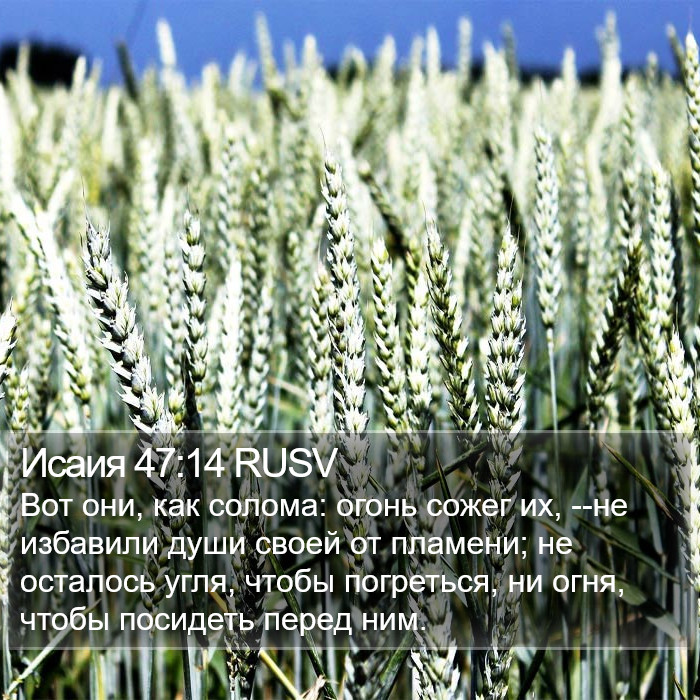 Исаия 47:14 RUSV Bible Study