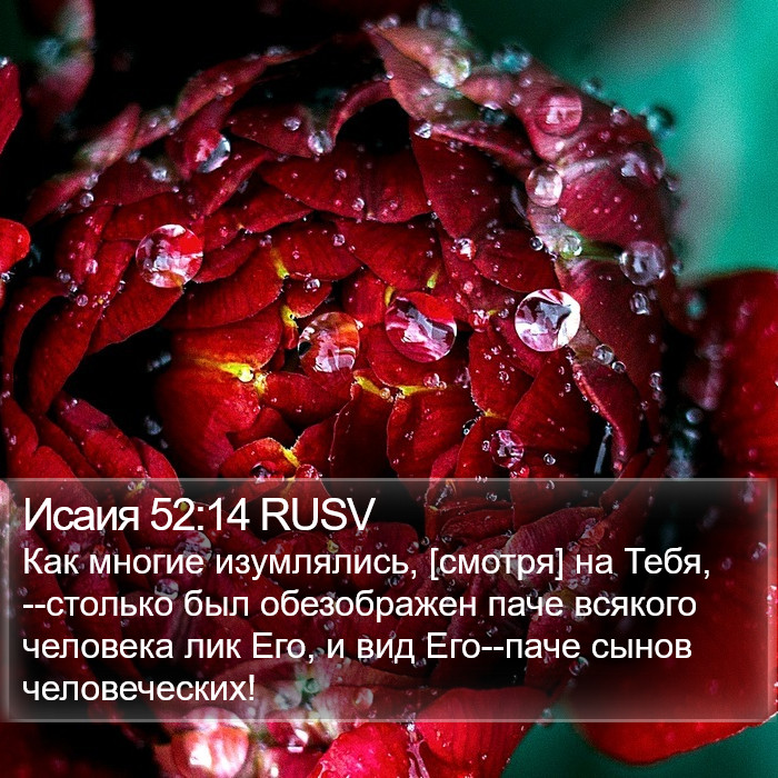 Исаия 52:14 RUSV Bible Study