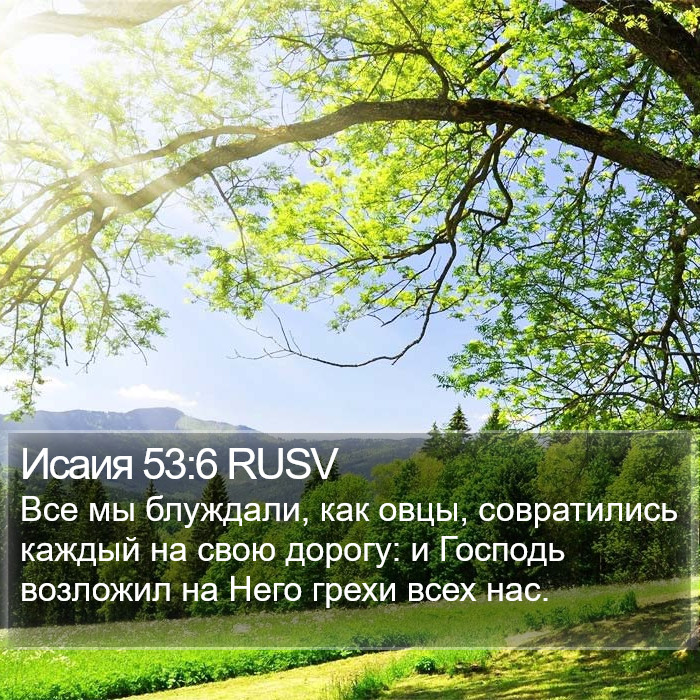 Исаия 53:6 RUSV Bible Study