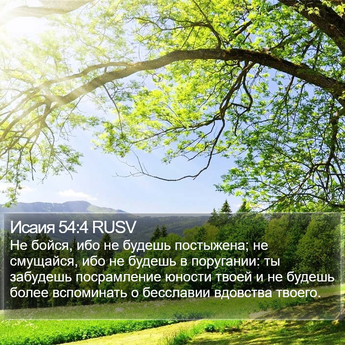 Исаия 54:4 RUSV Bible Study