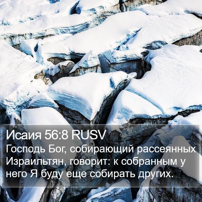 Исаия 56:8 RUSV Bible Study