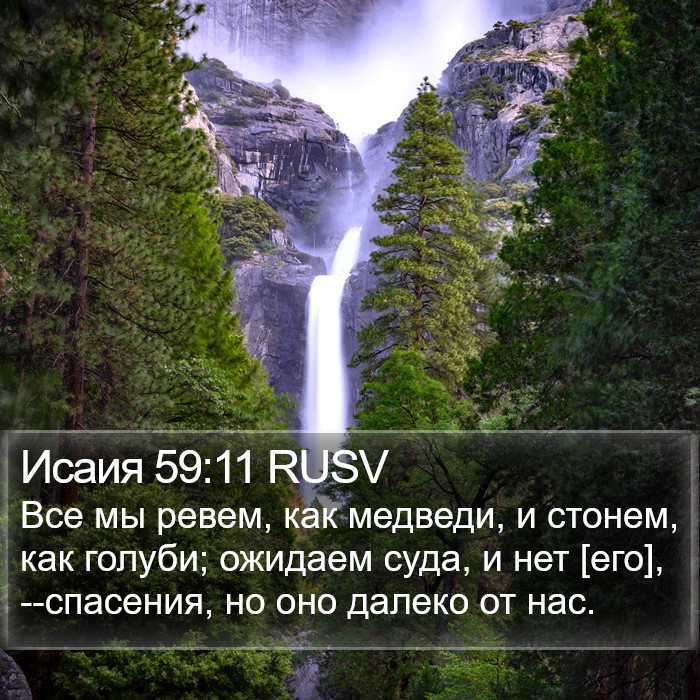 Исаия 59:11 RUSV Bible Study