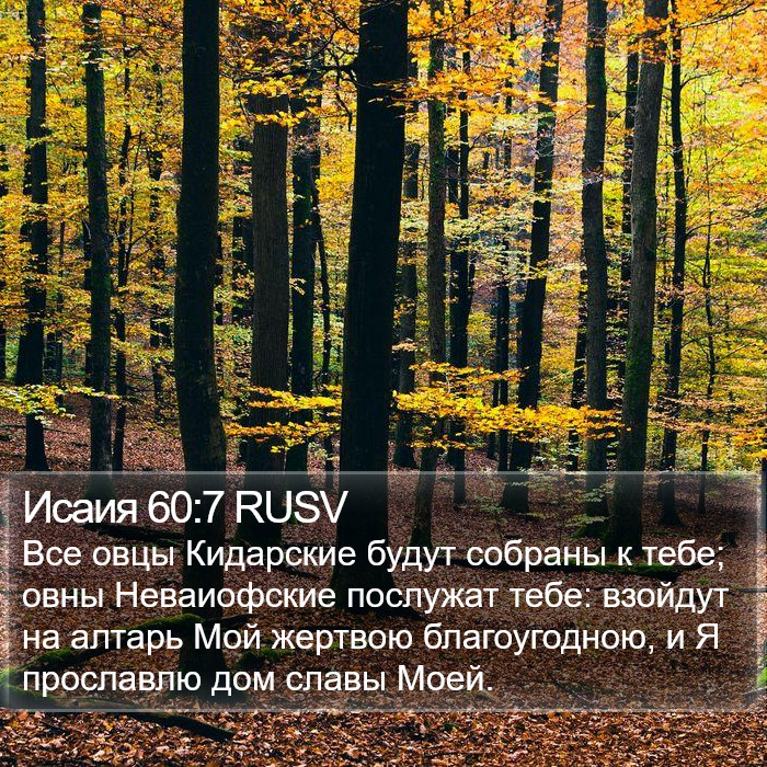 Исаия 60:7 RUSV Bible Study