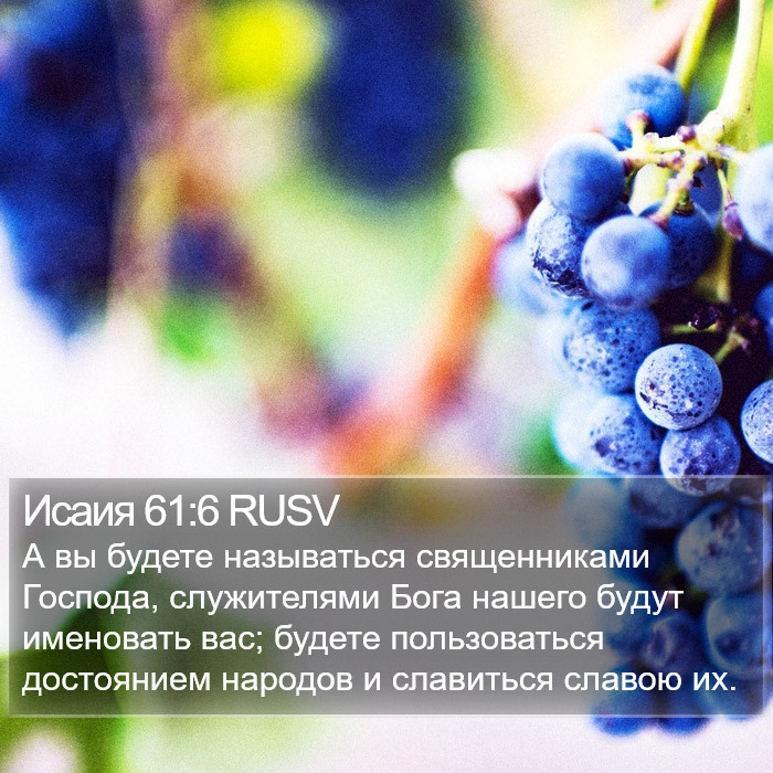 Исаия 61:6 RUSV Bible Study