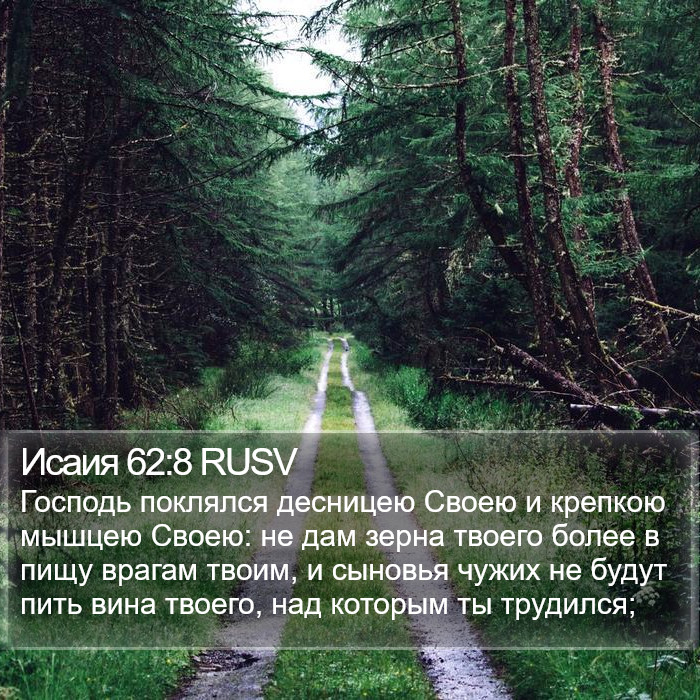 Исаия 62:8 RUSV Bible Study