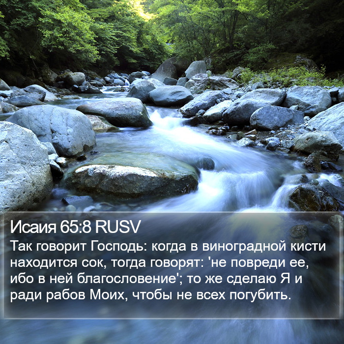 Исаия 65:8 RUSV Bible Study