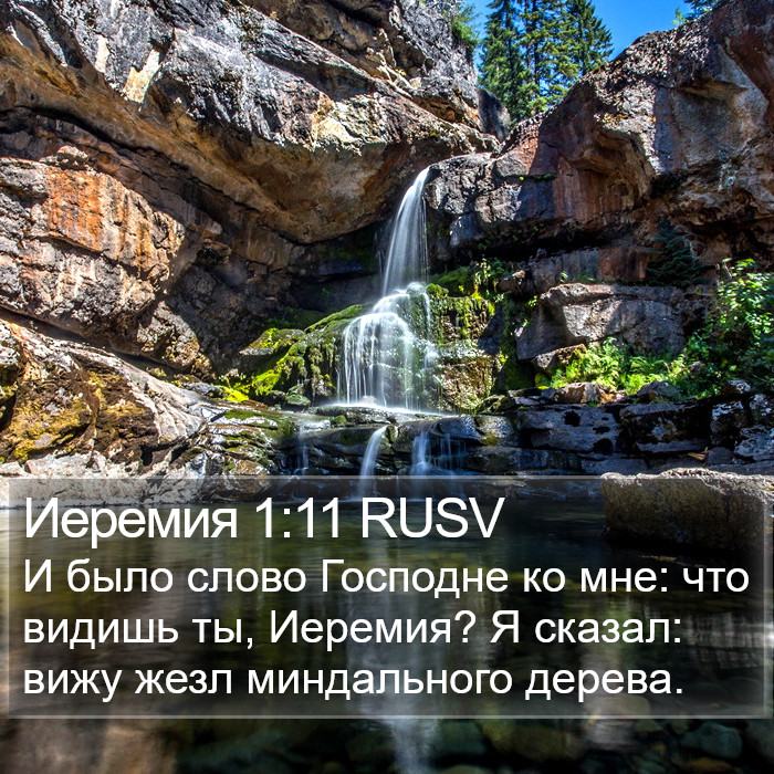 Иеремия 1:11 RUSV Bible Study