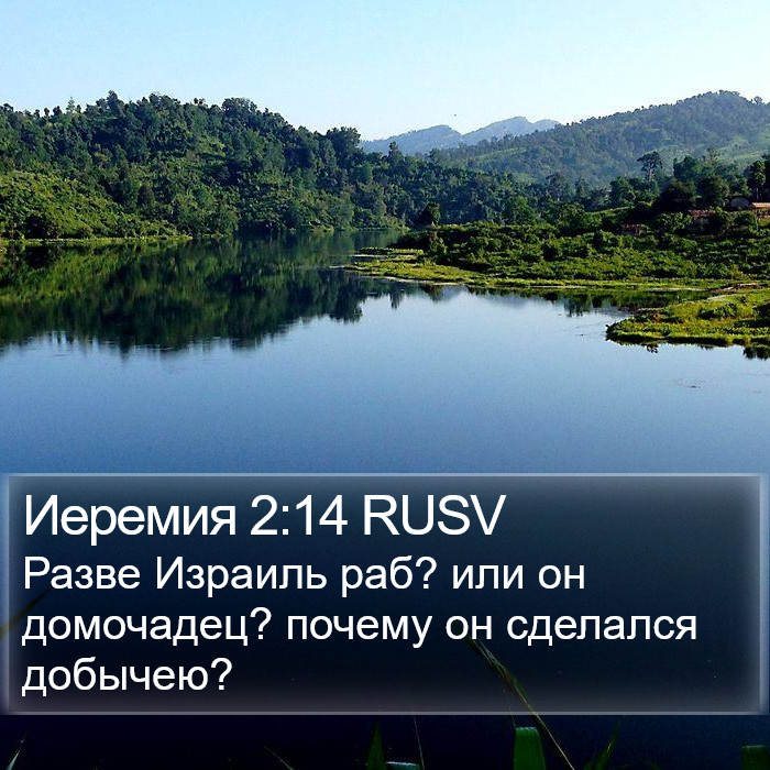 Иеремия 2:14 RUSV Bible Study