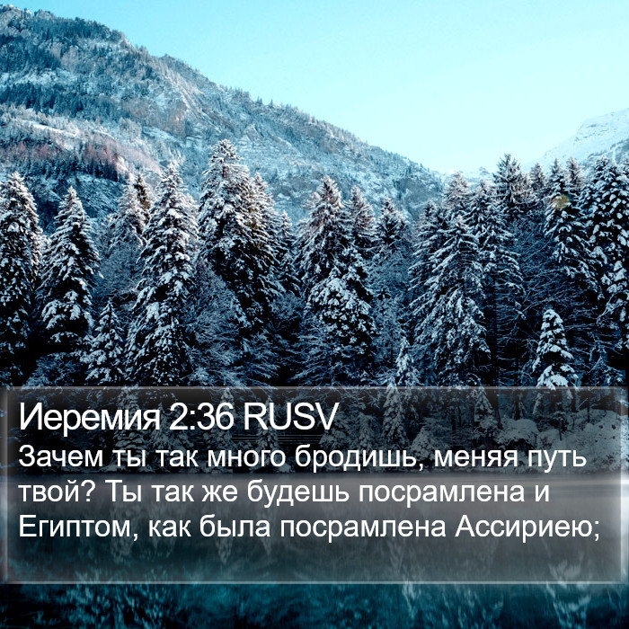 Иеремия 2:36 RUSV Bible Study