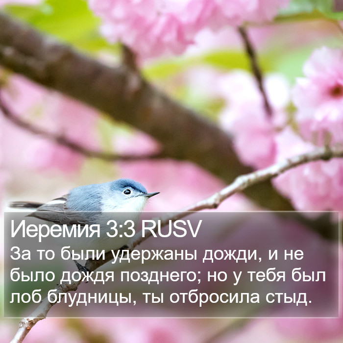 Иеремия 3:3 RUSV Bible Study