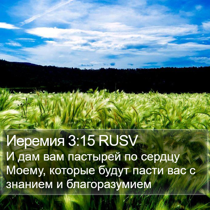 Иеремия 3:15 RUSV Bible Study