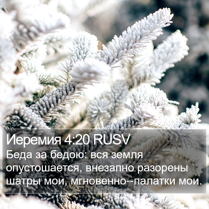 Иеремия 4:20 RUSV Bible Study