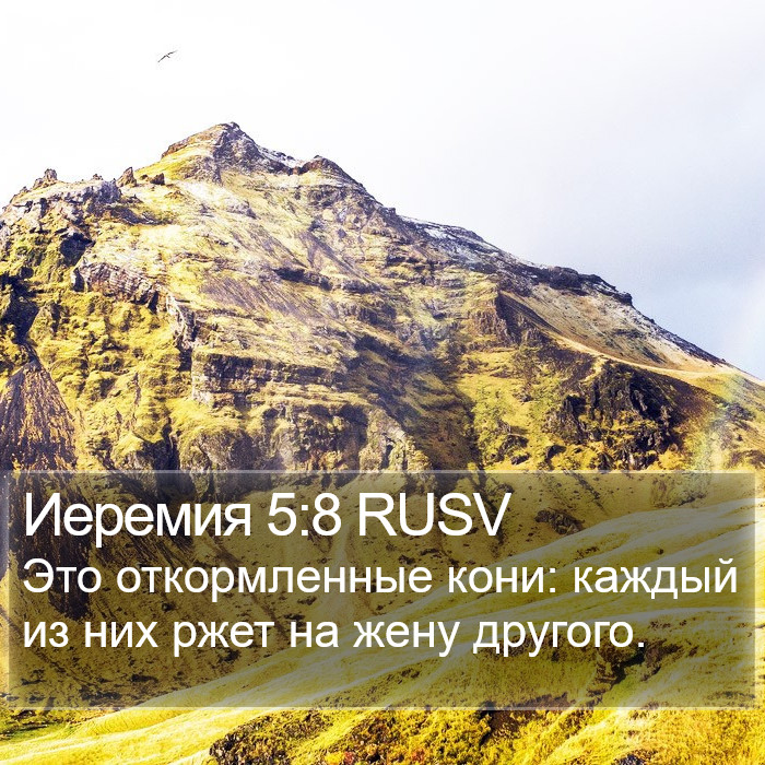 Иеремия 5:8 RUSV Bible Study