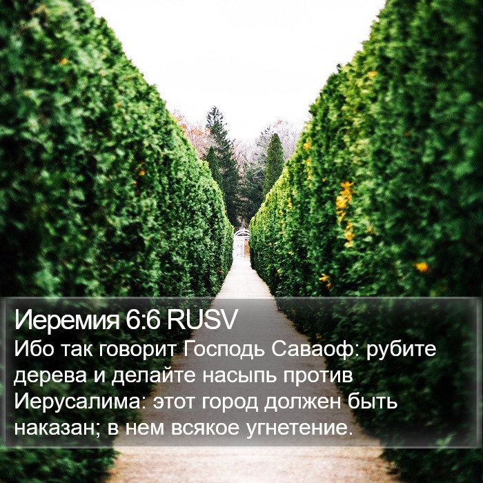 Иеремия 6:6 RUSV Bible Study
