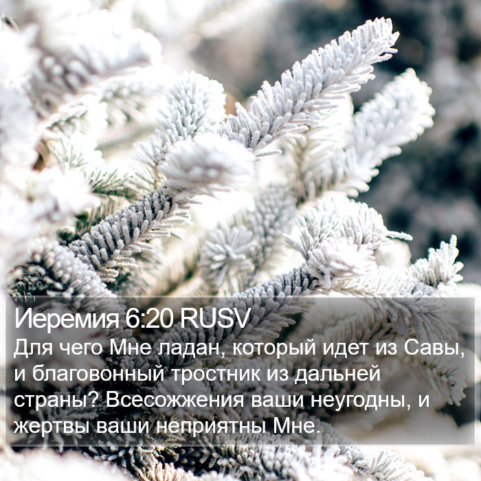 Иеремия 6:20 RUSV Bible Study