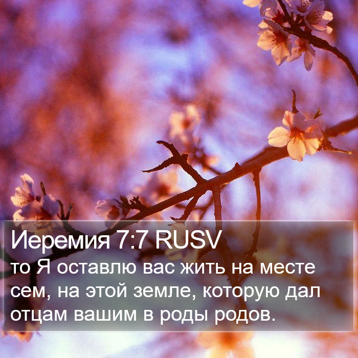 Иеремия 7:7 RUSV Bible Study