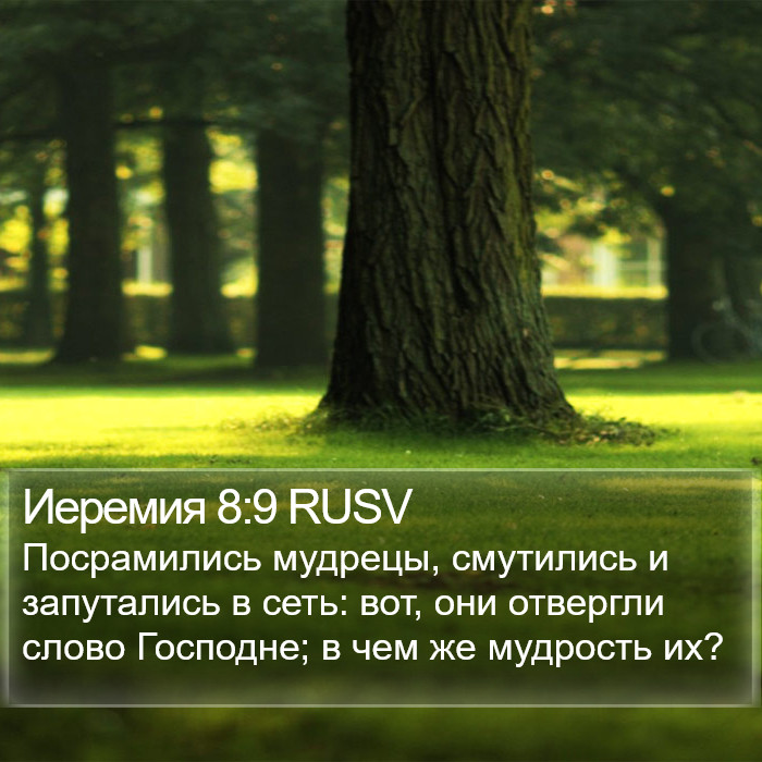 Иеремия 8:9 RUSV Bible Study