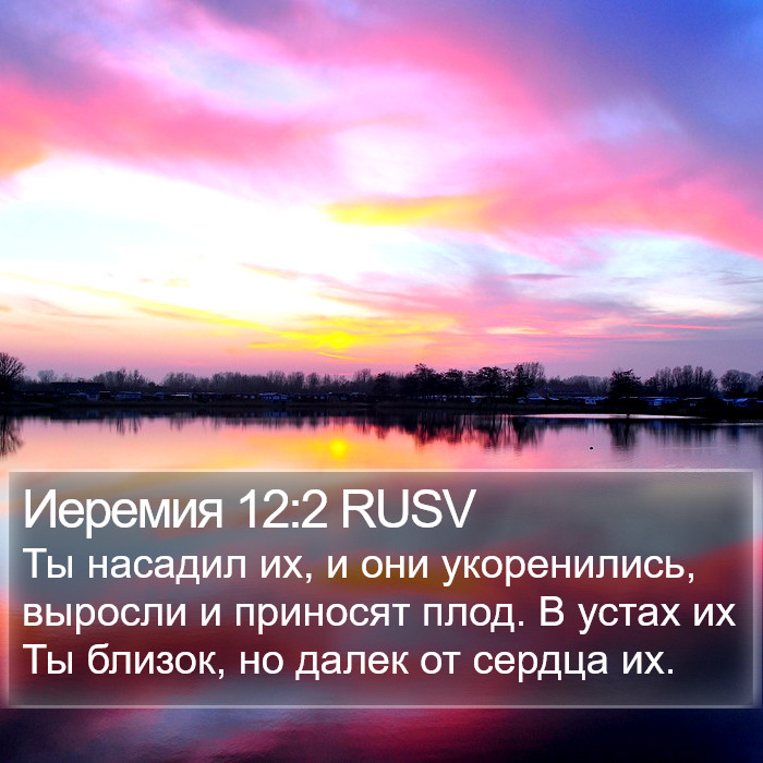 Иеремия 12:2 RUSV Bible Study