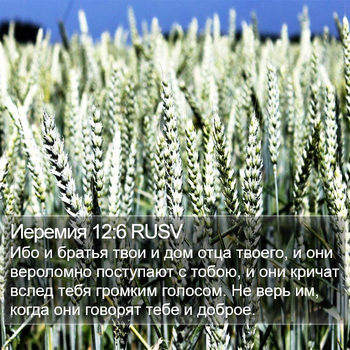 Иеремия 12:6 RUSV Bible Study