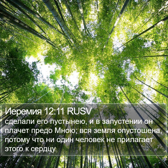Иеремия 12:11 RUSV Bible Study