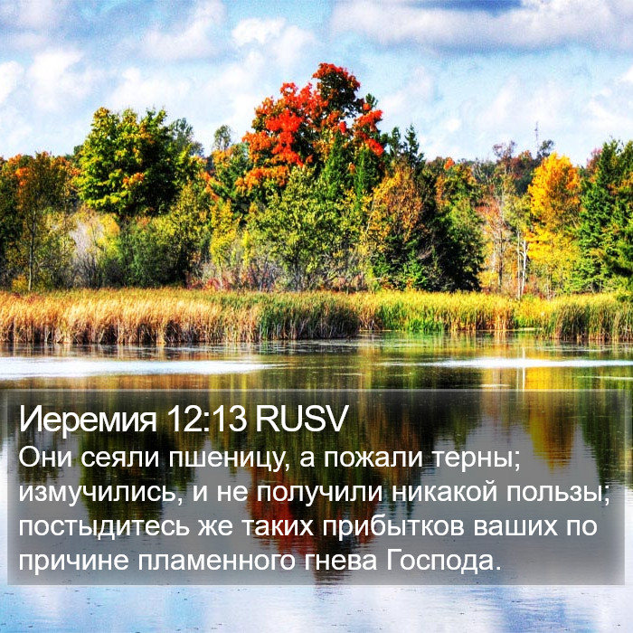 Иеремия 12:13 RUSV Bible Study