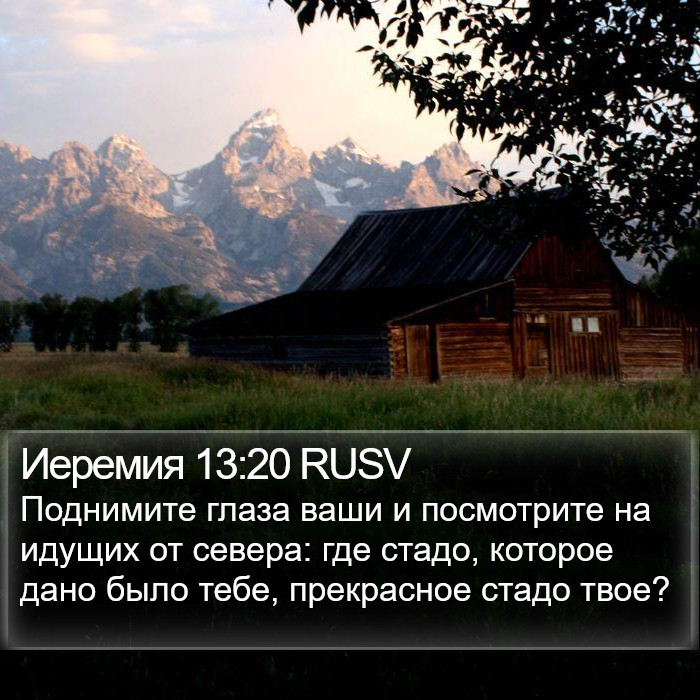 Иеремия 13:20 RUSV Bible Study