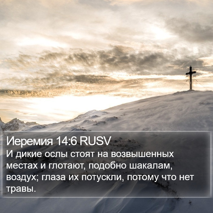 Иеремия 14:6 RUSV Bible Study