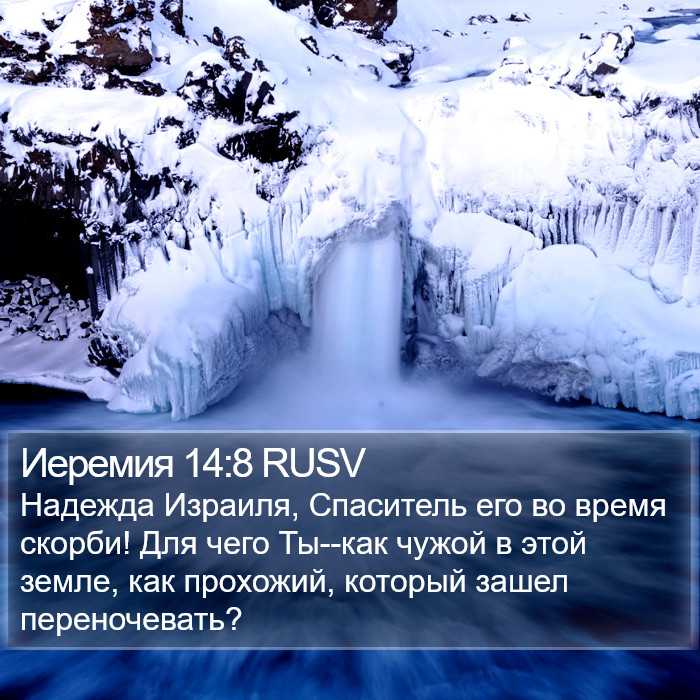 Иеремия 14:8 RUSV Bible Study