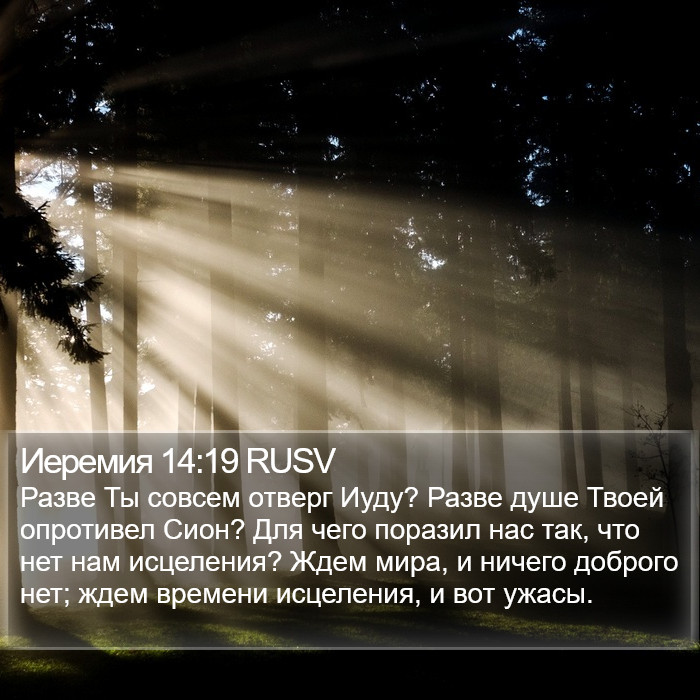 Иеремия 14:19 RUSV Bible Study
