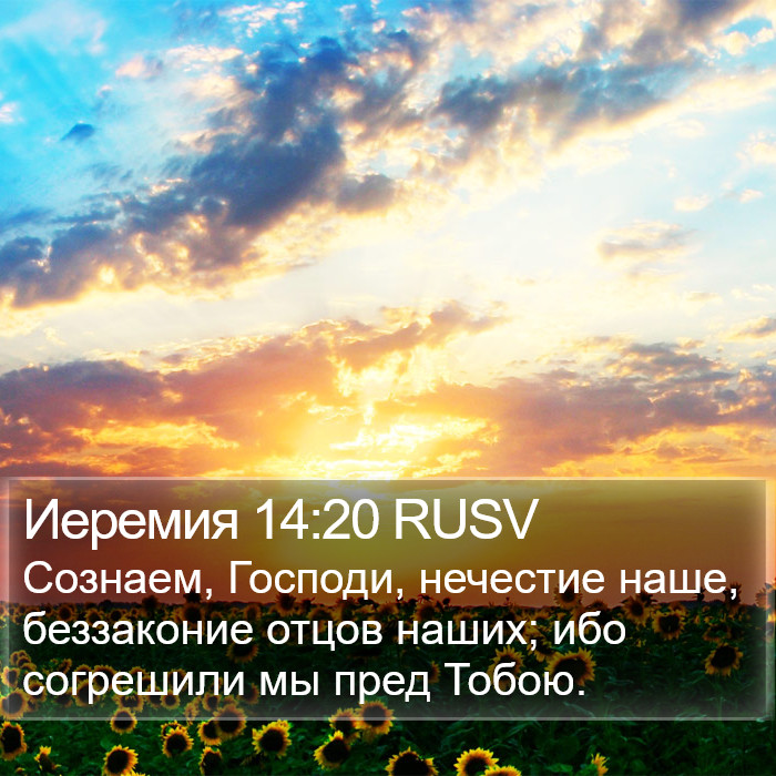 Иеремия 14:20 RUSV Bible Study