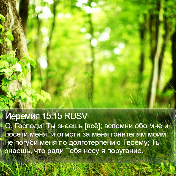 Иеремия 15:15 RUSV Bible Study
