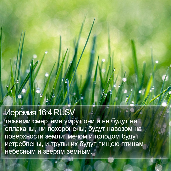 Иеремия 16:4 RUSV Bible Study