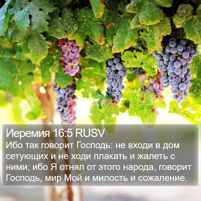 Иеремия 16:5 RUSV Bible Study