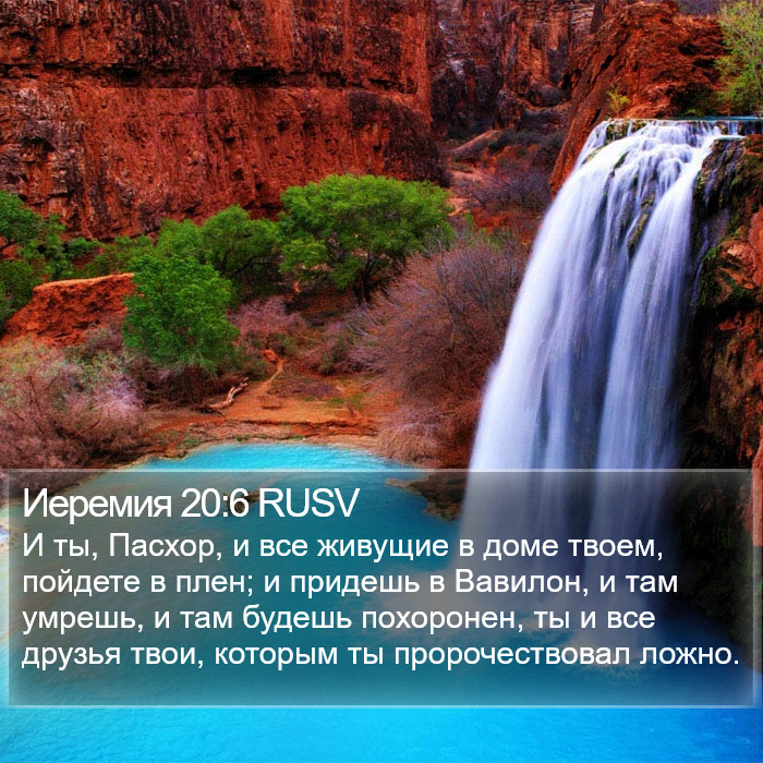 Иеремия 20:6 RUSV Bible Study