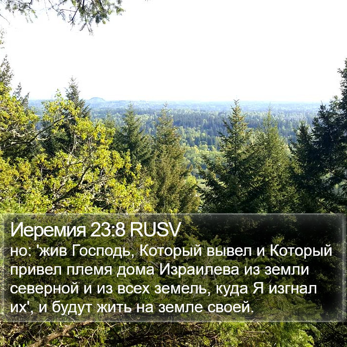 Иеремия 23:8 RUSV Bible Study