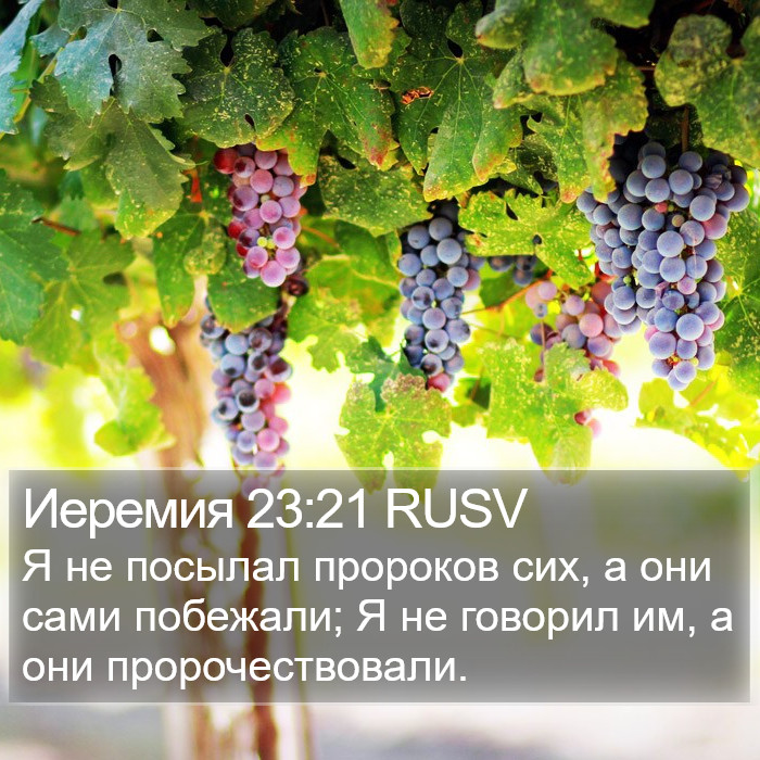 Иеремия 23:21 RUSV Bible Study