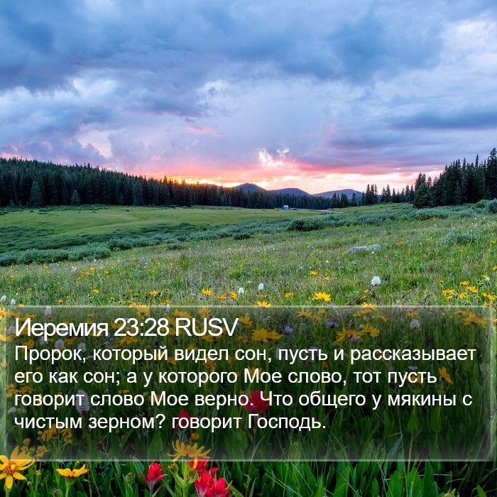 Иеремия 23:28 RUSV Bible Study