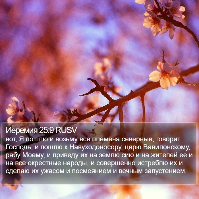 Иеремия 25:9 RUSV Bible Study