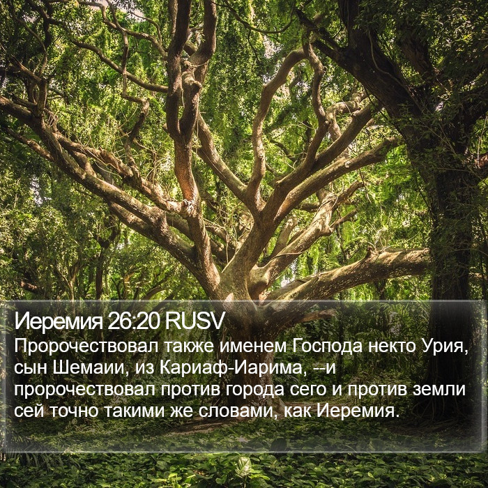 Иеремия 26:20 RUSV Bible Study