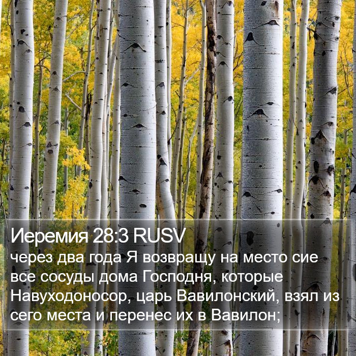 Иеремия 28:3 RUSV Bible Study