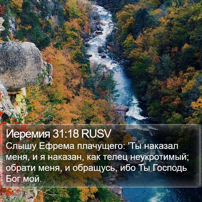 Иеремия 31:18 RUSV Bible Study