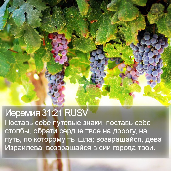 Иеремия 31:21 RUSV Bible Study